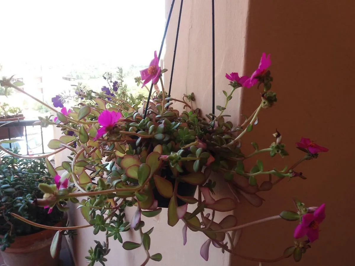 Bilocale Via Belfast Apartman Villasimius